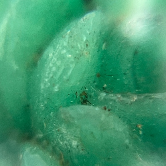 Green carved flower rose shaped stone silver tone vintage dress clip antique - Picture 16 of 16